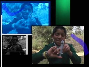 El poder de la unión - Física Segundo de Secundaria