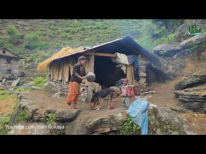 This is Rural Himalayan Nepali Village Lifestyle | Organic Food Cooking in Jungle Family | Rainy Day