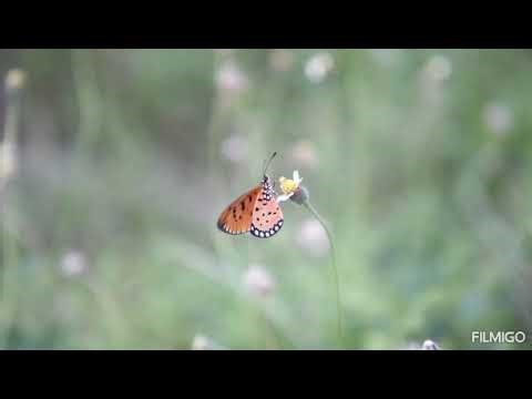 Ultimate Beats - Granica Hardstyle Remix