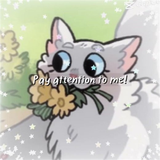 Cloudtail/cloudpaw/cloudkit #cloudtail #warrior #edit