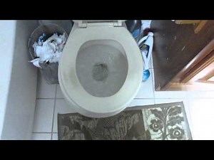 My House toilets Full Shoot