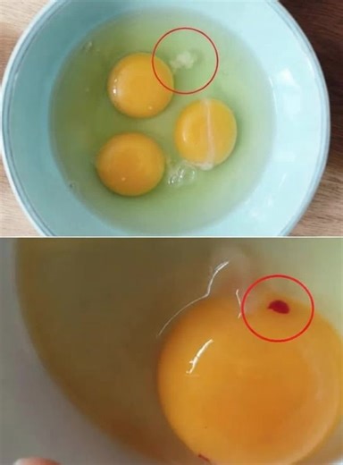 Filaments blancs et taches rouges dans l'œuf : qu'est-ce que c'est et devriez-vous vous en inquiéter ? Peut-on manger ces œufs ? 🤔 Détails dans les commentaires. ⬇️⬇️⬇️ | Codes de Jeunes