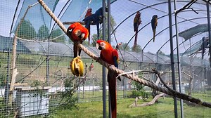 1.2K views · 129 reactions | A perfect afternoon snack to enjoy in...