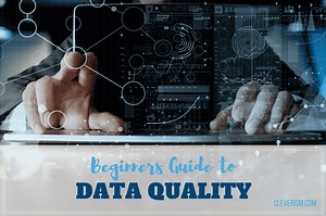 Beginners Guide to Data Quality