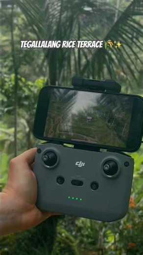 Tegallalang Rice Terrace 🌾✨ #4k #reels #travel #drone #dji #nature #bali
