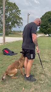 Yada Verbal call off. Whistle call off. #dog #dogtraining #k9unit #dogs #workingdog #protectiondog #k9 | Chris Altherr