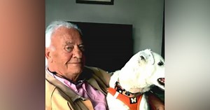 Robert Francois Vigy