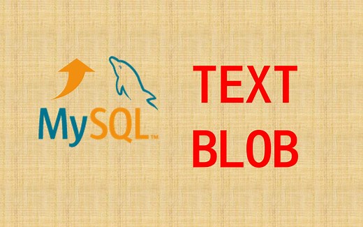 【MySQL性能优化】07 TEXT与BLOB类型