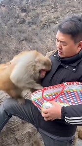 Feading to the monkey 🐒 | Pohor Dvrma