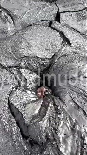 Quicksand girl sinking #trendingvideo #adventure #quicksand