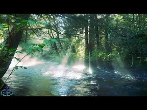 Muzyka relaksacyjna krótka Medytacja - Odglosy natury, spiew ptaków, dzwieki lasu. Muzyka na przerwę