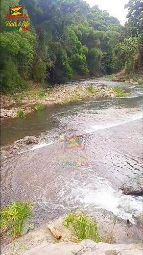 Driving Along One of Grenada's Most Beautiful Rivers | Lush Green Paradise 🇬🇩