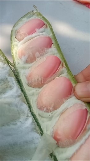 Perfect Vegetable Cutting Skills | Satisfying Kitchen Short #viralvideo #shorts