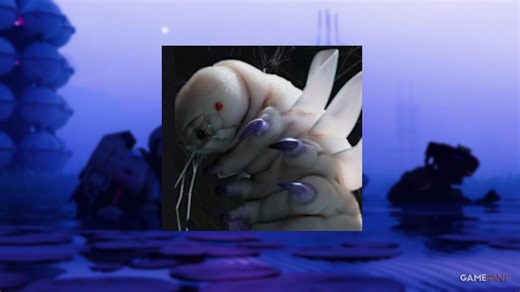 Introducing Sekiguchi Complete Guide in Marathon