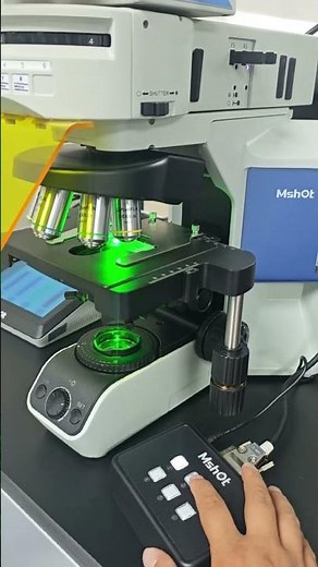 MSHOT MF43-N: The Research-Grade Upright Fluorescence Microscope for Clinical Precision #microscope