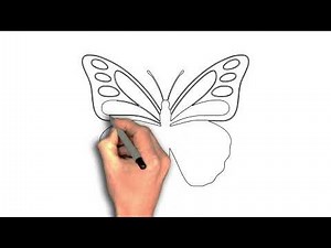 How to draw Butterfly Wing Pattern Study