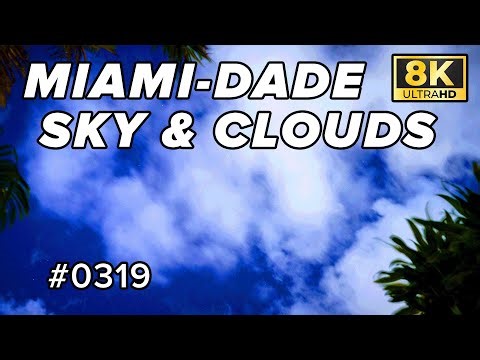 8K Timelapse of the Night Sky and Clouds over Miami, Fl (Sony A7R4 & G-Master 16-35mm)