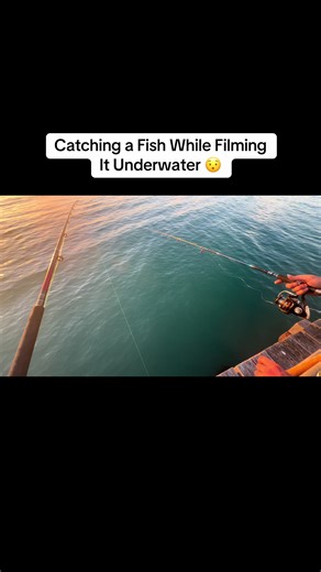 Underwater Fishing: Capturing Fish on Film