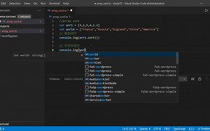 数组 排序基础(array sort)