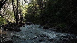 Amazing mountain river flowing in the middle of Gorge Turda.