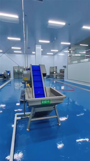 Efficient Clean Vegetable Processing Production Line