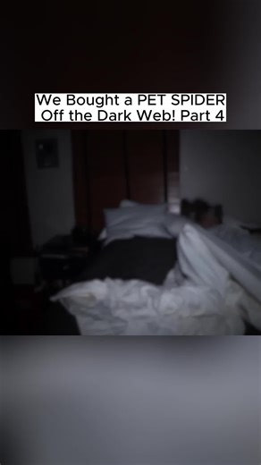 We Bought a PET SPIDER Off the Dark Web! p4 #lifeofluxury #luxarydark #skinwalker #scary #viralvideos #viralvideo #dopplerganger #creepy #fypシ゚viral #foryou