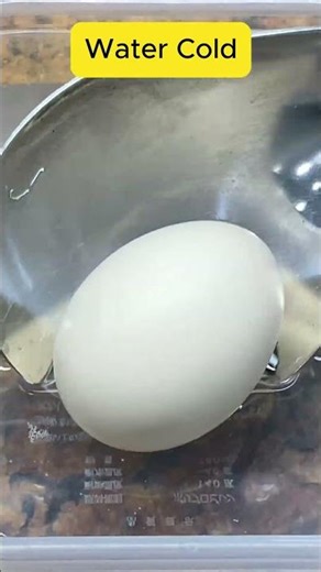 Rice Cooker Egg Hacks #shorts