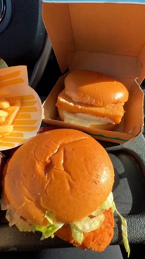 McDonald’s land sea and air 😂 filet of fish, hot and spicy McChicken, double cheeseburger, large fry and a six piece nugget with mac sauce 😋 ##mcdonalds##fyp##mukbang##asmr##mcdonaldsmukbangMcDonald’s Mukbang | hifoodiie