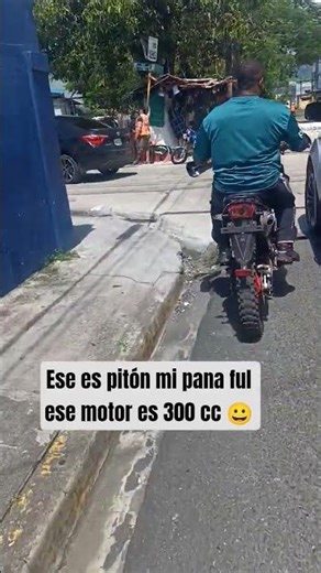 My friend Python praises the power of that 300cc machine