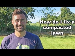 How do I fix a compacted lawn