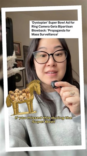 minna lee jamison on Instagram: "a Trojan Horse of *puppies* - spread the word about this Superbowl ad yes, you can and should disable the "search party" function ASAP on your Ring doorbells, but better yet? get rid of the system if possible."