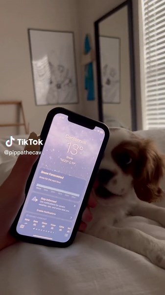 Puppy's First Snow Day Adventure