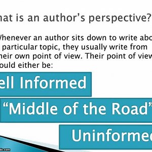 Author?s Perspective Video