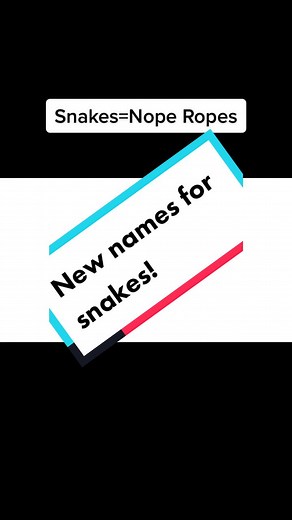 Funny Names for Snakes: Snek Noodle & Nope Rope
