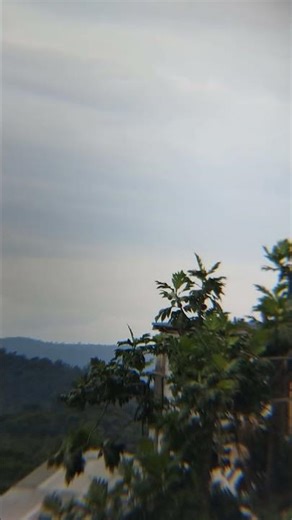 wings air /lion parcel