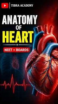 🫀 Heart Anatomy Explained with a Real Heart!