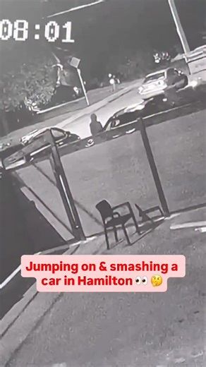 But why though??? 👀 no location given, anyone recognize the area? ⤵️ Credit: Hamilton Neighbourhood Watch / Facebook Follow @northlyhamilton for more Hamilton content DM us your videos/photos to be featured on the page‼️ We aim to keep our space respectful. Hate/racism comments are not tolerated and will be removed to the best of our capabilities. #nmghamilton #hamilton #hamiltonontario #hamont #hamiltoncity #canada #ontario #ancaster #stoneycreek #westdale #downtownhamilton | Northly Hamilton