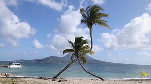 Wow-worthy gift guide