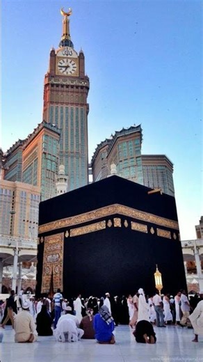 makha madina status#viral#shorts#trending