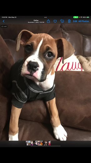 Michelle aka MiMi on TikTok