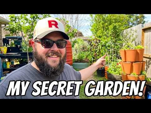 Texas Gardening in March | Plums, Figs & Container Setup