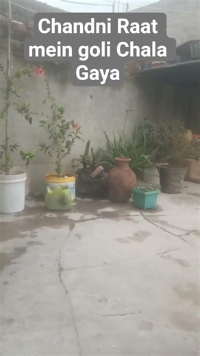 Chandni Raat mein goli Chala Gaya