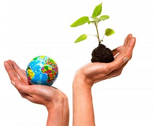 Las bodegas y los Objetivos de Desarrollo Sostenible (ODS)