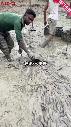 在抖 音精选 各类优质视频等你来挖掘#抖 音精选 #抖 音细糠版