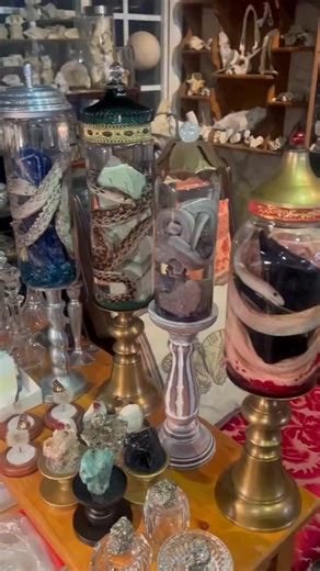 Ave Rose (Ah-vey🌹) on Instagram: "Come to the @odditiesandcuriositiesexpo this weekend Jan. 24-25 to see my new creations including these four whimsical wet specimens! 1.Coachwhip snake with garnet eyes wrapped around obsidian. 2.Rosy boa with amethyst eyes, quartz banded amethyst crystal points, amethyst geode shards, tumbled amethyst peoples, topped with a quartz marble. 3.Gopher snake with emerald eyes wrapped around a dendritic sage jasper tower on emerald gravel. 4.Albino Gopher sna