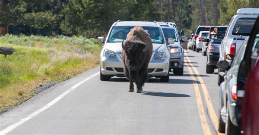 Are national parks open during a government shutdown? What we know