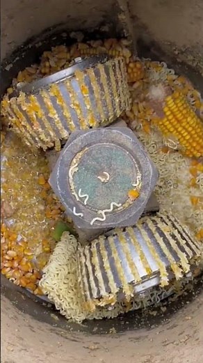 Sweet Corn Turning into Small Pellets #CornProcessing #PelletMachine #FoodTech