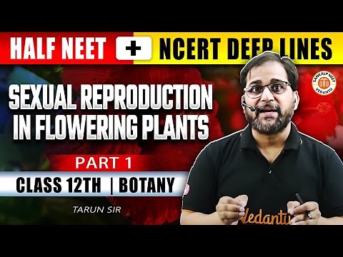SEXUAL REPRODUCTION IN FLOWERING PLANTS CLASS 12 | ALL CONCEPTS & THEORY | NEET 2025 | BY TARUN SIR