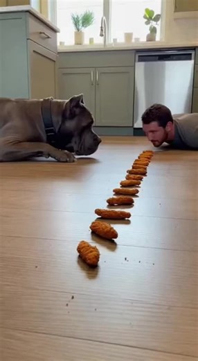 Fun Food Challenge With My Dog: Hilarious Pranks