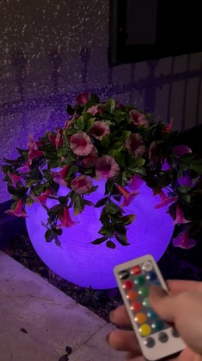 The Range on Instagram: " Grab yours before they GLOW away!  SAVE, SAVE, SAVE!  That’s right, our Light-Up Plant Pot AKA our DISCO PLANT POT is now just £24.99—with £15 OFF! 勞✨ Product code: 401489  Comes with a remote control, a handy 4-hour timer, and glows for up to 240 hours!   ➡️ Available IN-STORES & online ️ Click & Collect available, order online & collect in your local store in as little as 1 hour! #therange"